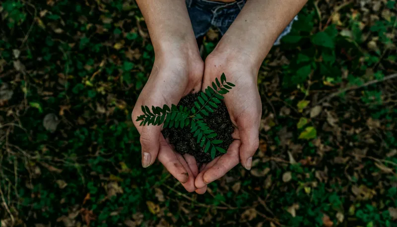 Twee handen houden een jong plantje met aarde vast